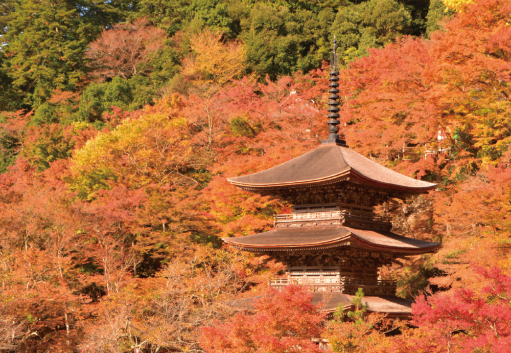 金剛院塔婆（三重塔） 写真