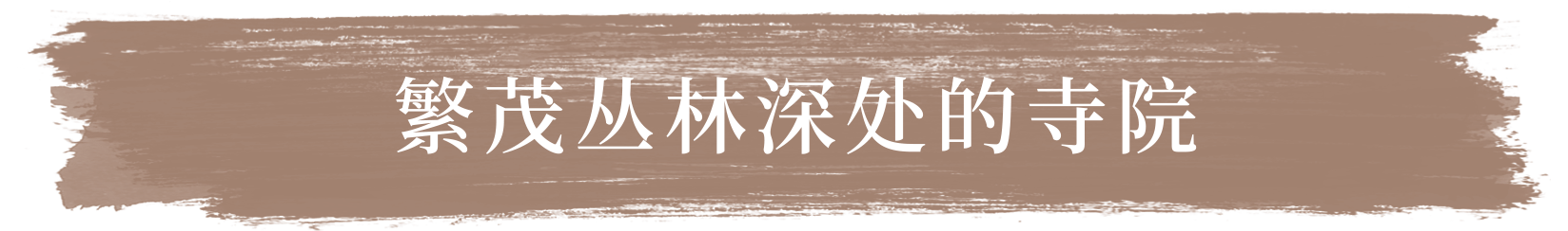 繁茂丛林深处的寺院