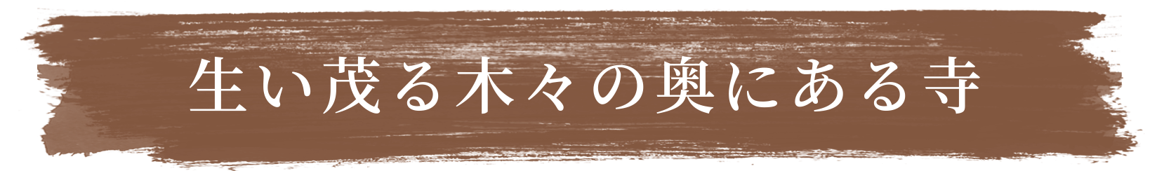 生い茂る木々の奥にある寺