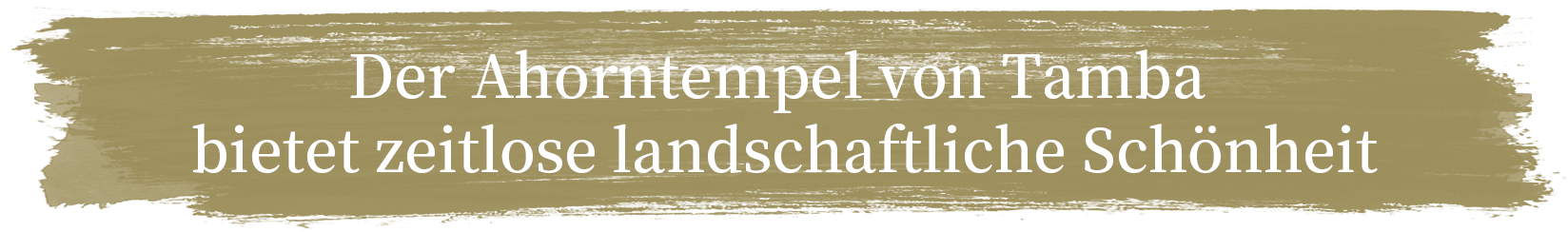 Der Ahorntempel von Tamba bietet zeitlose landschaftliche Schönheit