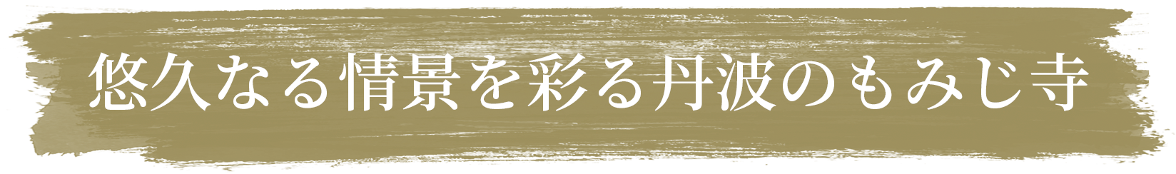 悠久なる情景を彩る丹波のもみじ寺