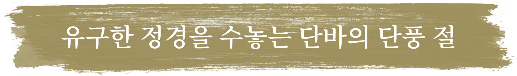 유구한 정경을 수놓는 단바의 단풍 절