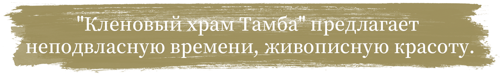 Кленовый храм Тамба предлагает неподвласную времени, живописную красоту.