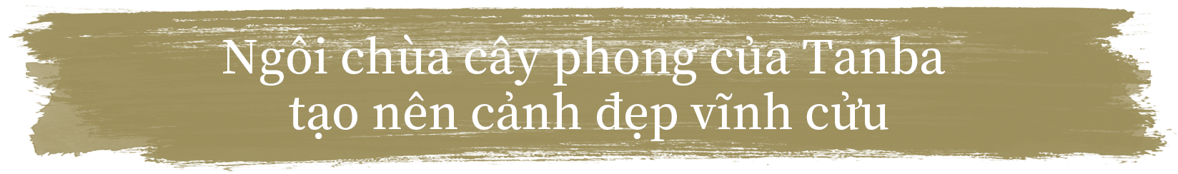 Ngôi chùa cây phong của Tanba tạo nên cảnh đẹp vĩnh cửu