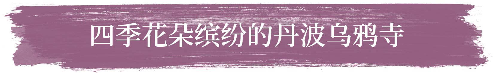 四季花朵缤纷的丹波乌鸦寺