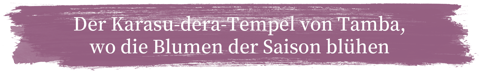 Der Karasu-dera-Tempel von Tamba, wo die Blumen der Saison blühen