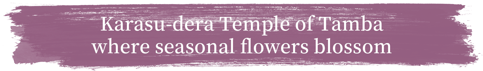 Karasu-dera Temple of Tamba where seasonal flowers blossom