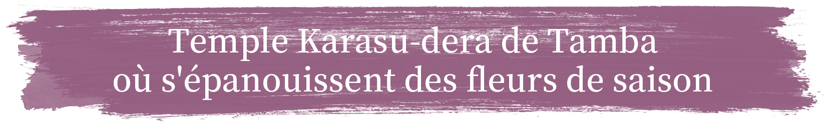 Temple Karasu-dera de Tamba où s'épanouissent des fleurs de saison