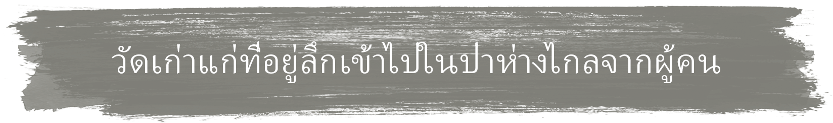 วัดเก่าแก่ที่อยู่ลึกเข้าไปในป่าห่างไกลจากผู้คน