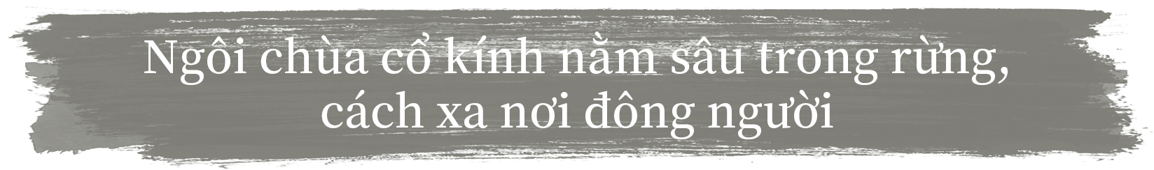 Ngôi chùa cổ kính nằm sâu trong rừng, cách xa nơi đông người