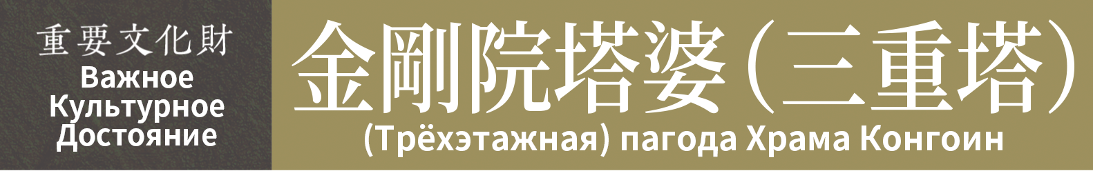 Важное Культурное Достояние　(Трёхэтажная) пагода Храма Конгоин