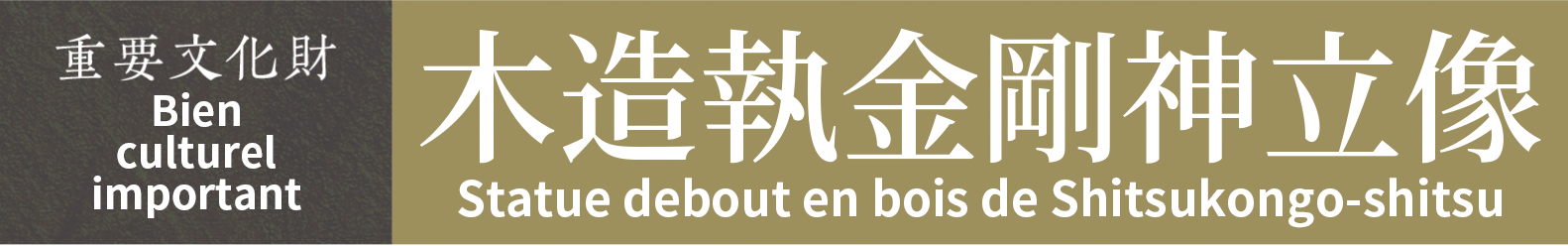 Bien culturel important　Statue debout en bois de Shitsukongo-shitsu