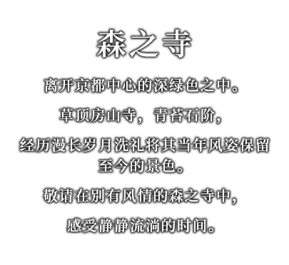 离开京都中心的深绿色之中。
草顶房山寺，青苔石阶，
经历漫长岁月洗礼将其当年风姿保留至今的景色。
敬请在别有风情的森之寺中，
感受静静流淌的时间。