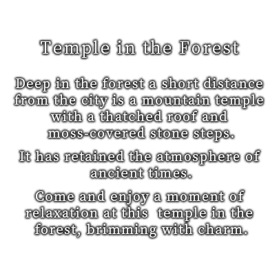 Ayabe City: Temple in the Forest. In a forest in northern Kyoto… an ancient temple enveloped in the tranquility of lush greenery stands in solemnness and eternal beauty.
Let us guide you deep into the heart of Kyoto.